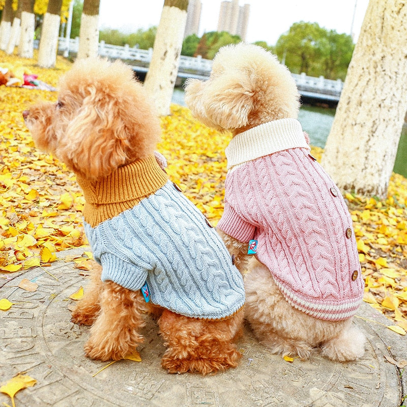 Turtleneck Sweater with Button Detail